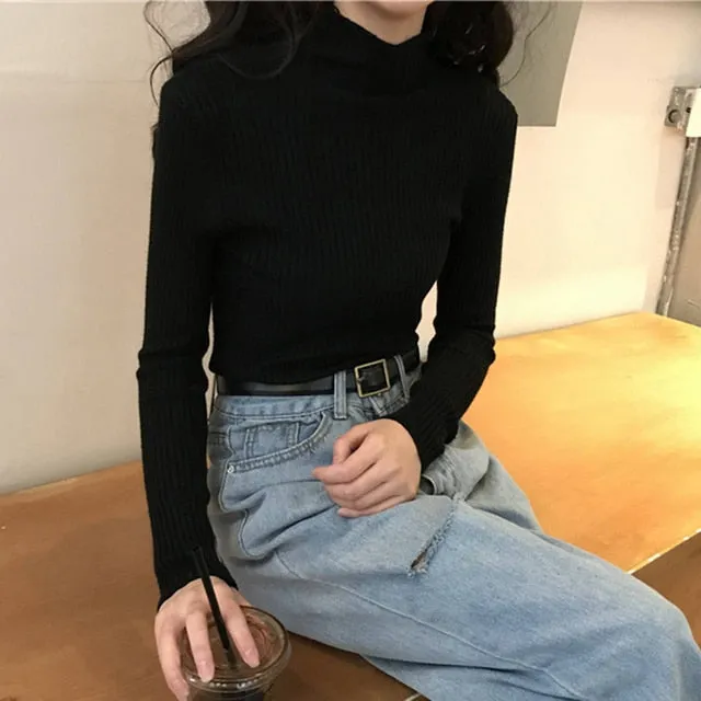 #PB Chic Long Sleeve Casual Turtleneck