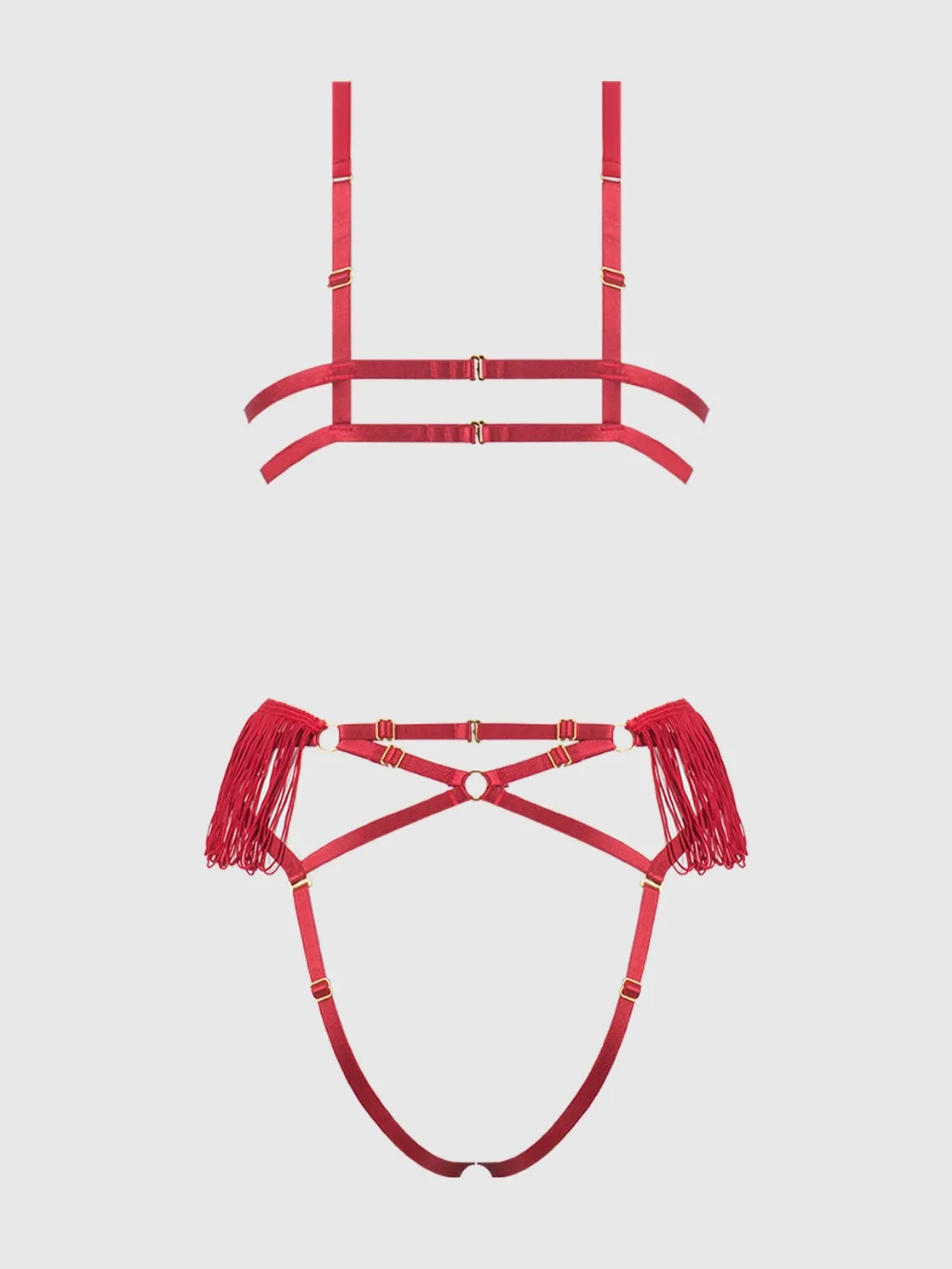 Phoenix Faux Leather & Fringe Crotchless Teddy