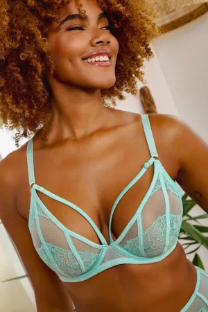 Valerie Aqua Embroidery & Mesh Plunge Bra